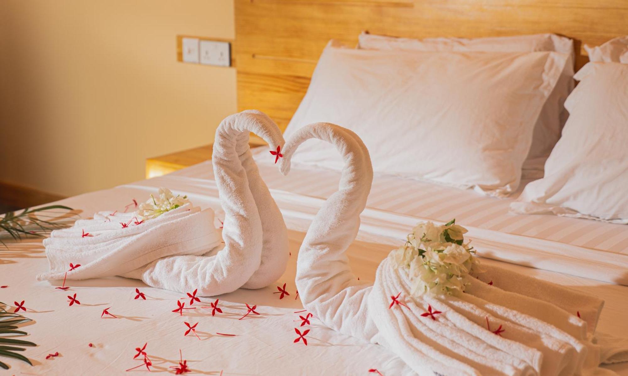 טאודו Relax Lodge מראה חיצוני תמונה